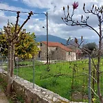 Case de vacanță The Stone House-zacharatos Nikolaos